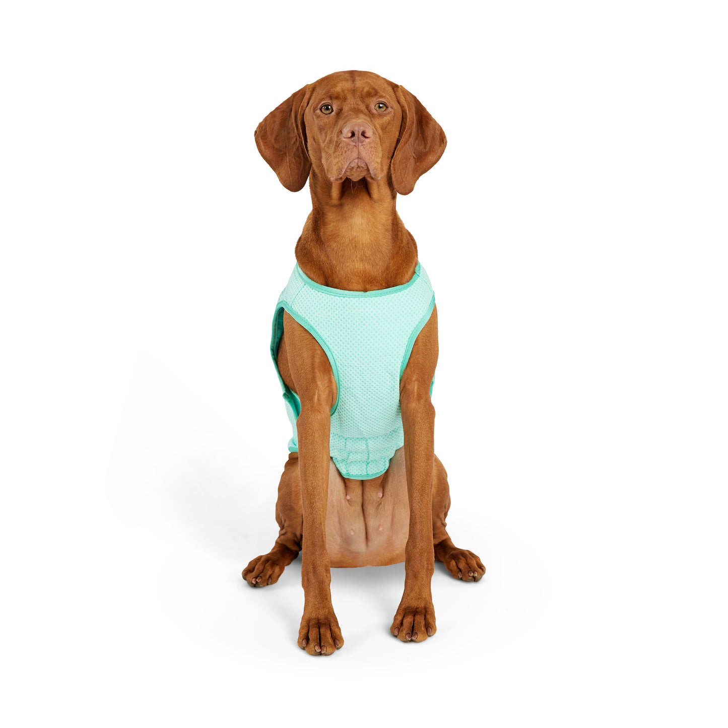 GF Pet Elasto-Fit Cooling Ice Vest