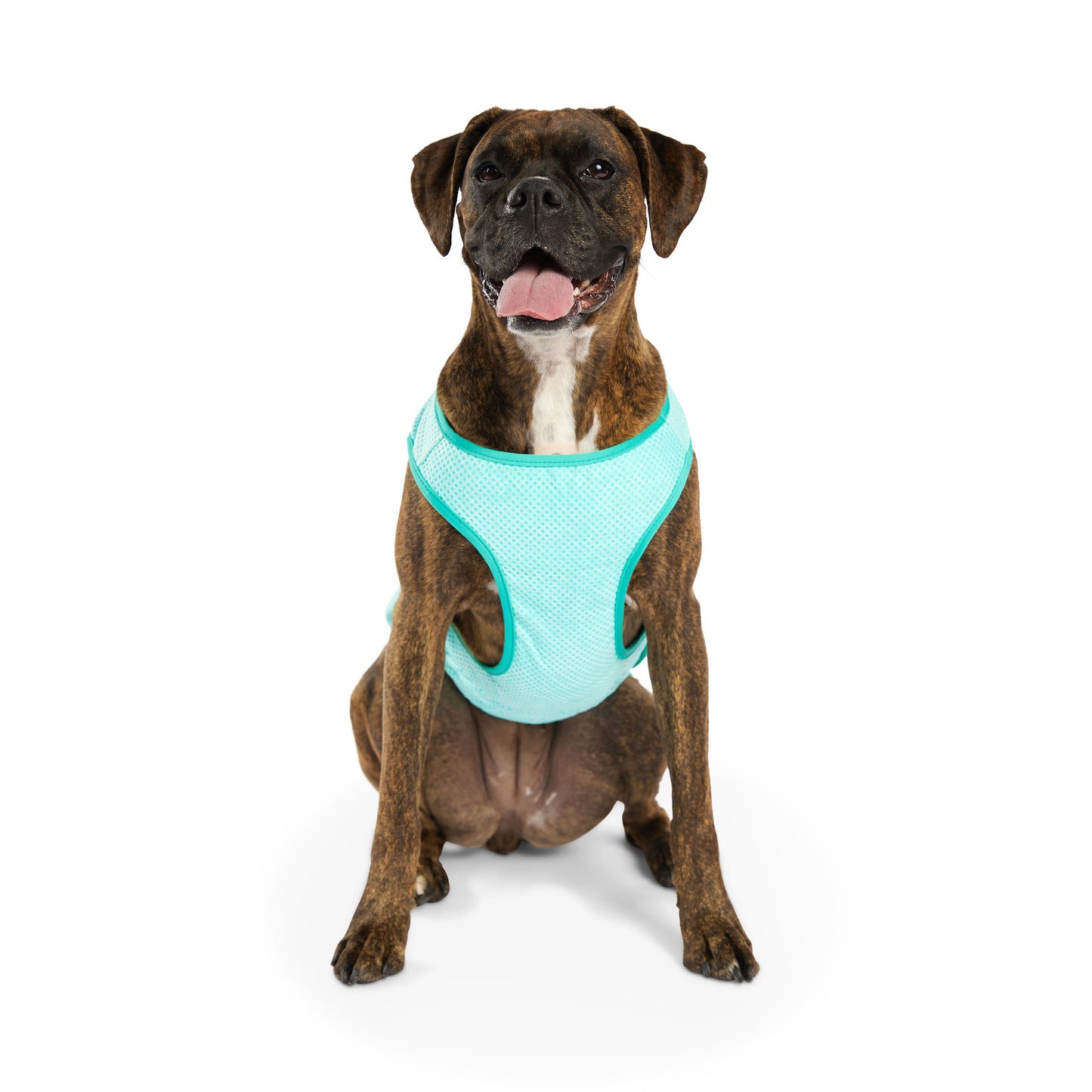 GF Pet Elasto-Fit Cooling Ice Vest
