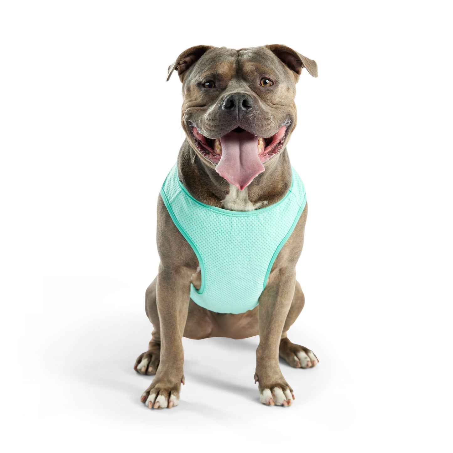 GF Pet Elasto-Fit Cooling Ice Vest