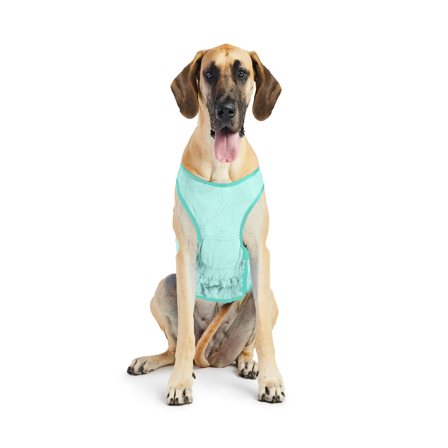 GF Pet Elasto-Fit Cooling Ice Vest