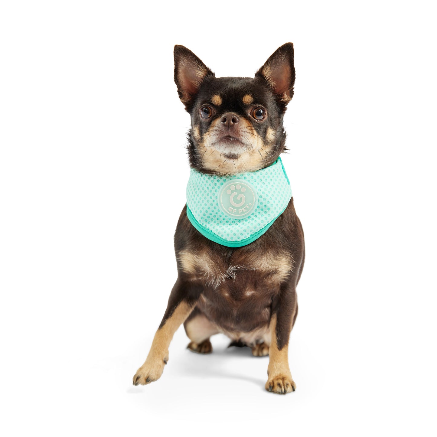 GF Pet Ice Band Cooling Bandana