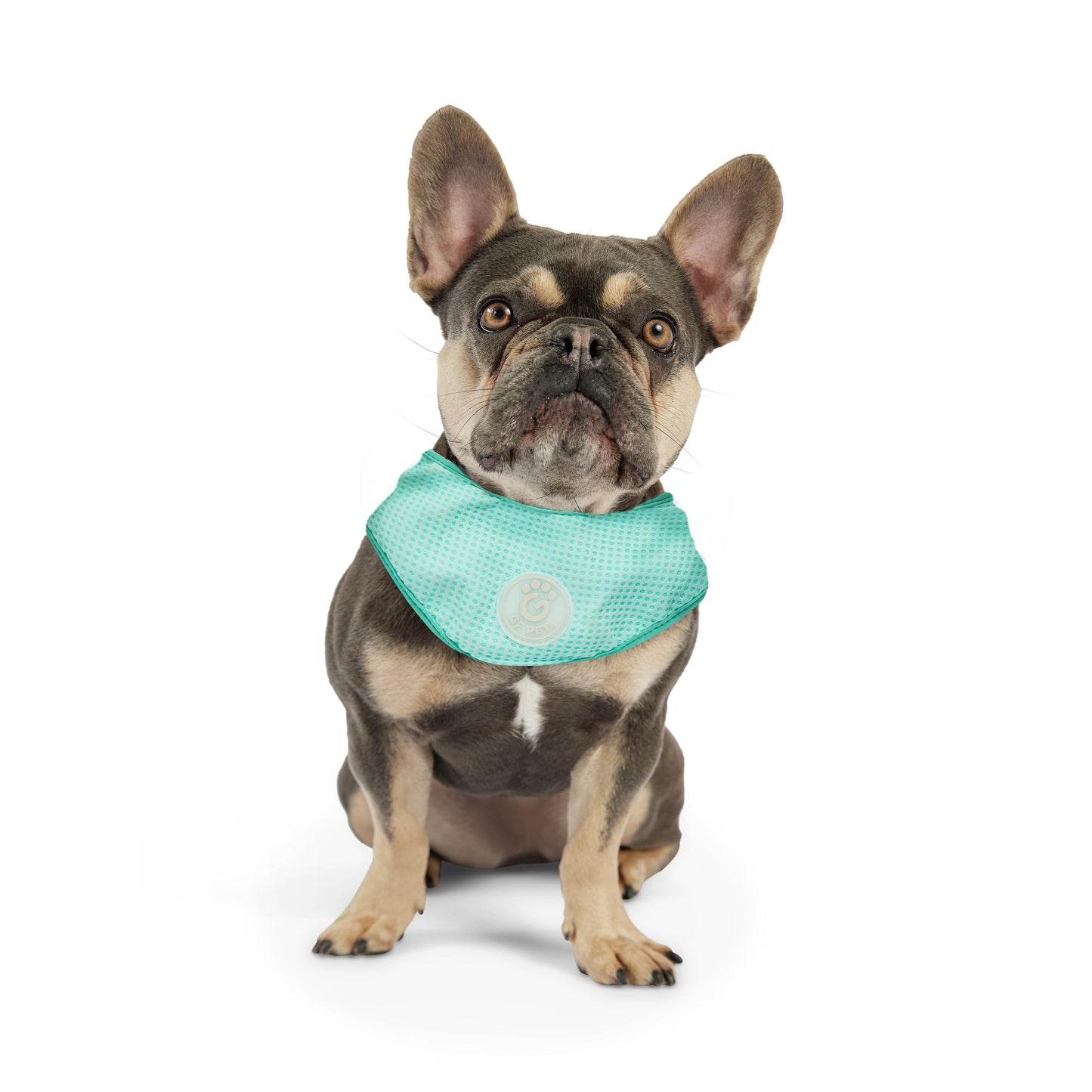 GF Pet Ice Band Cooling Bandana