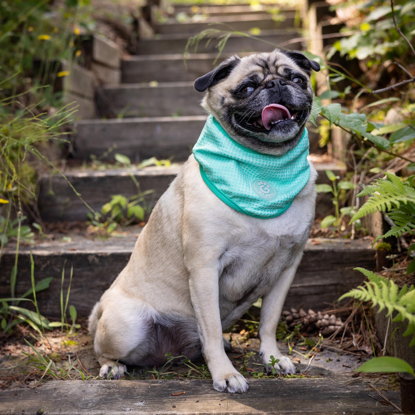 GF Pet Ice Band Cooling Bandana
