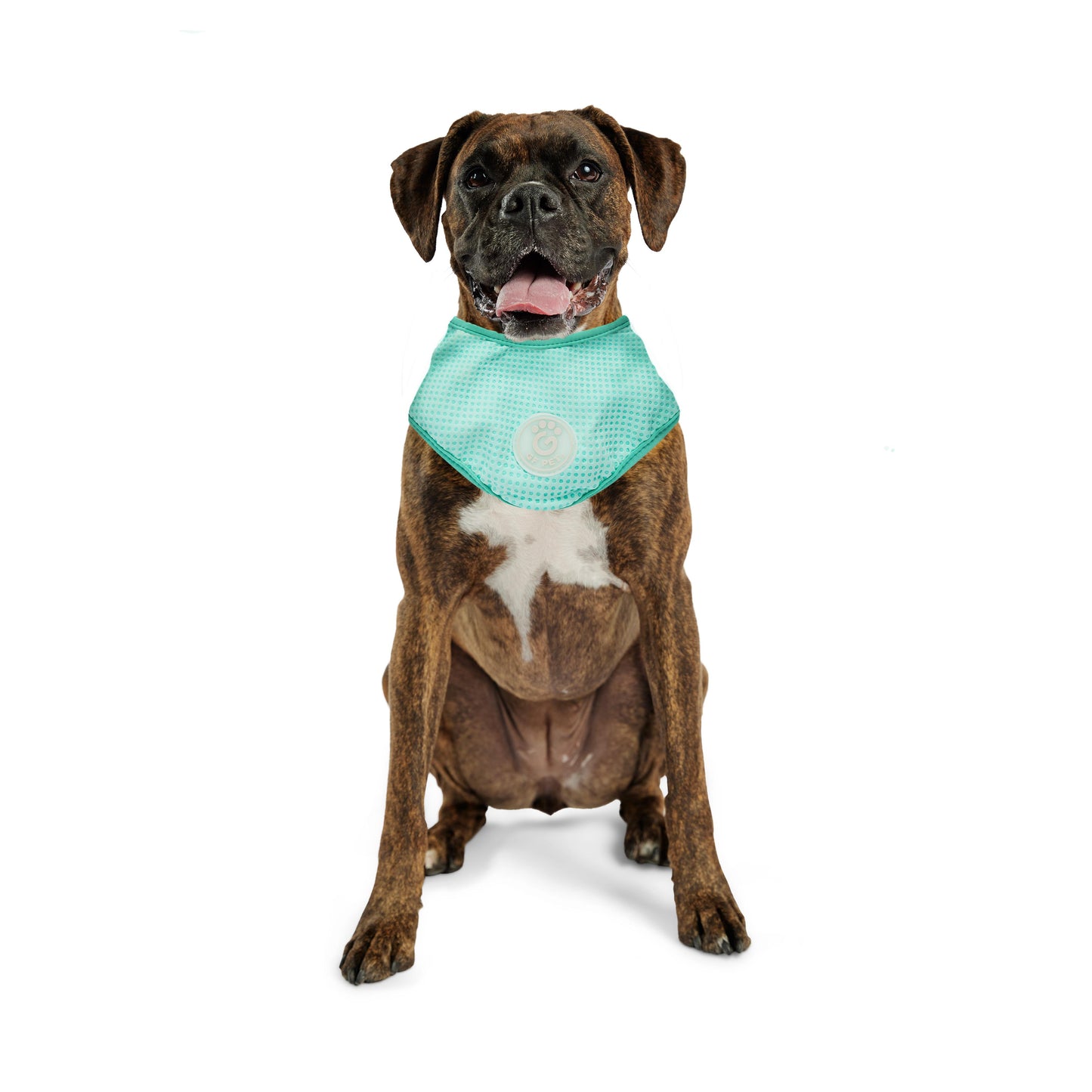 GF Pet Ice Band Cooling Bandana
