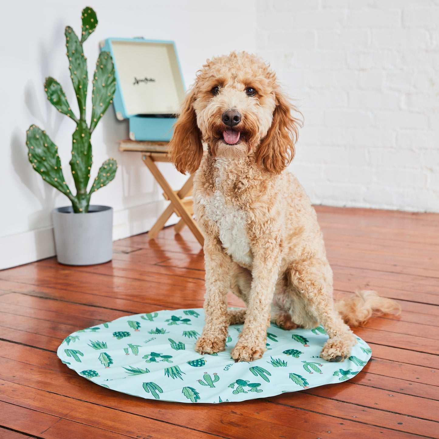 GF Pet Ice Cooling Mat