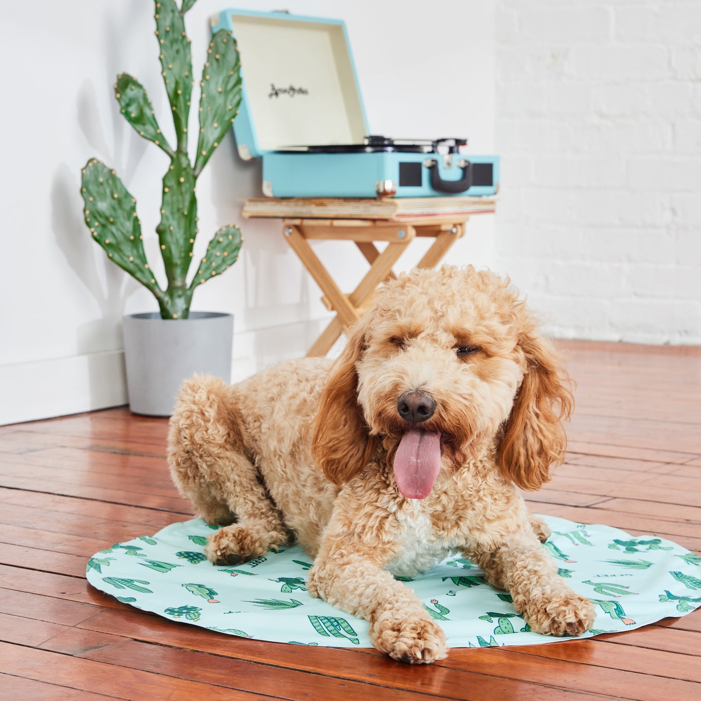 GF Pet Ice Cooling Mat