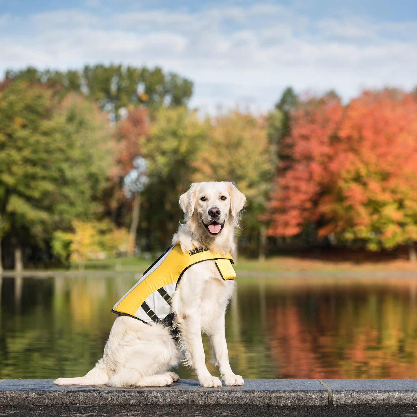 GF Pet Dog Life Vest