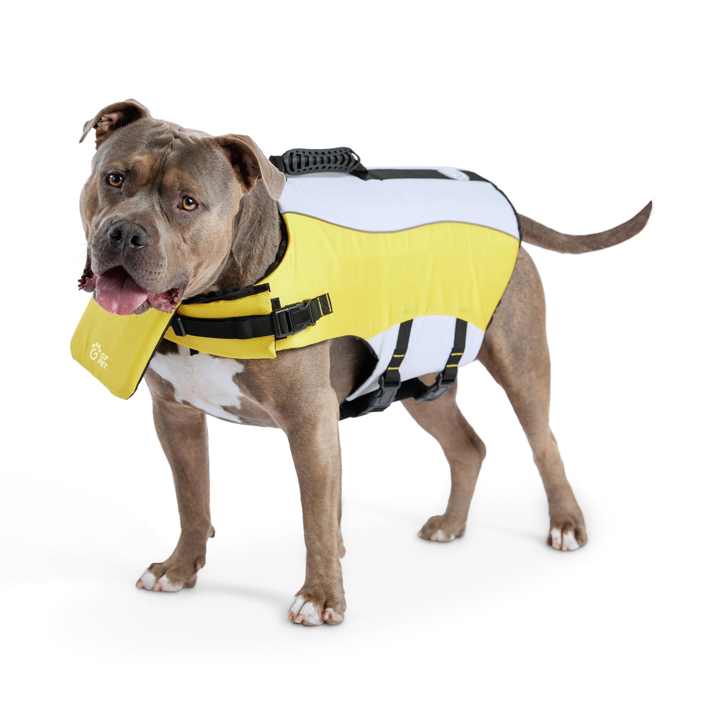 GF Pet Dog Life Vest