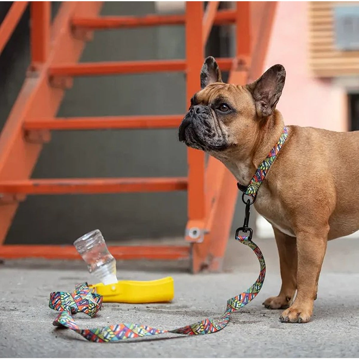 GF Pet Yellow Water Bottle