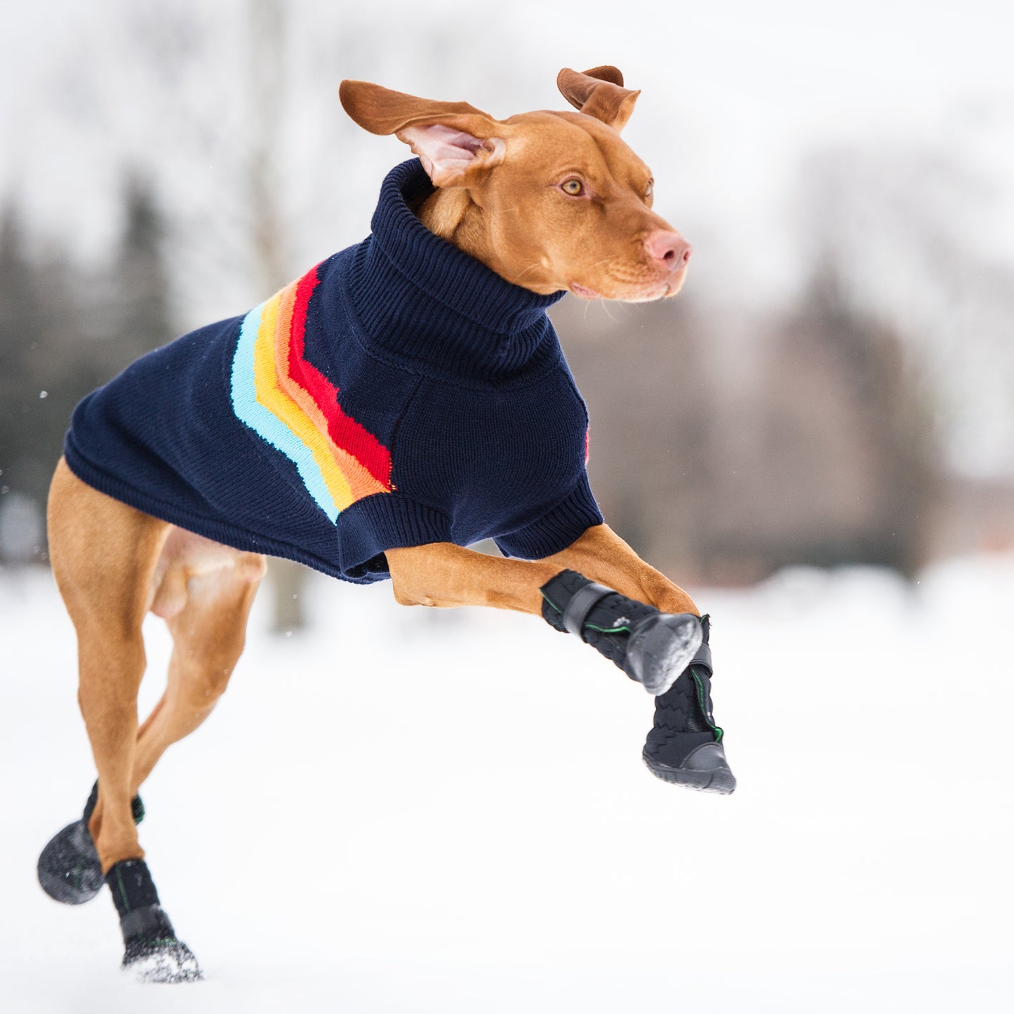 GF Pet Elasto-Fit Dog Boots