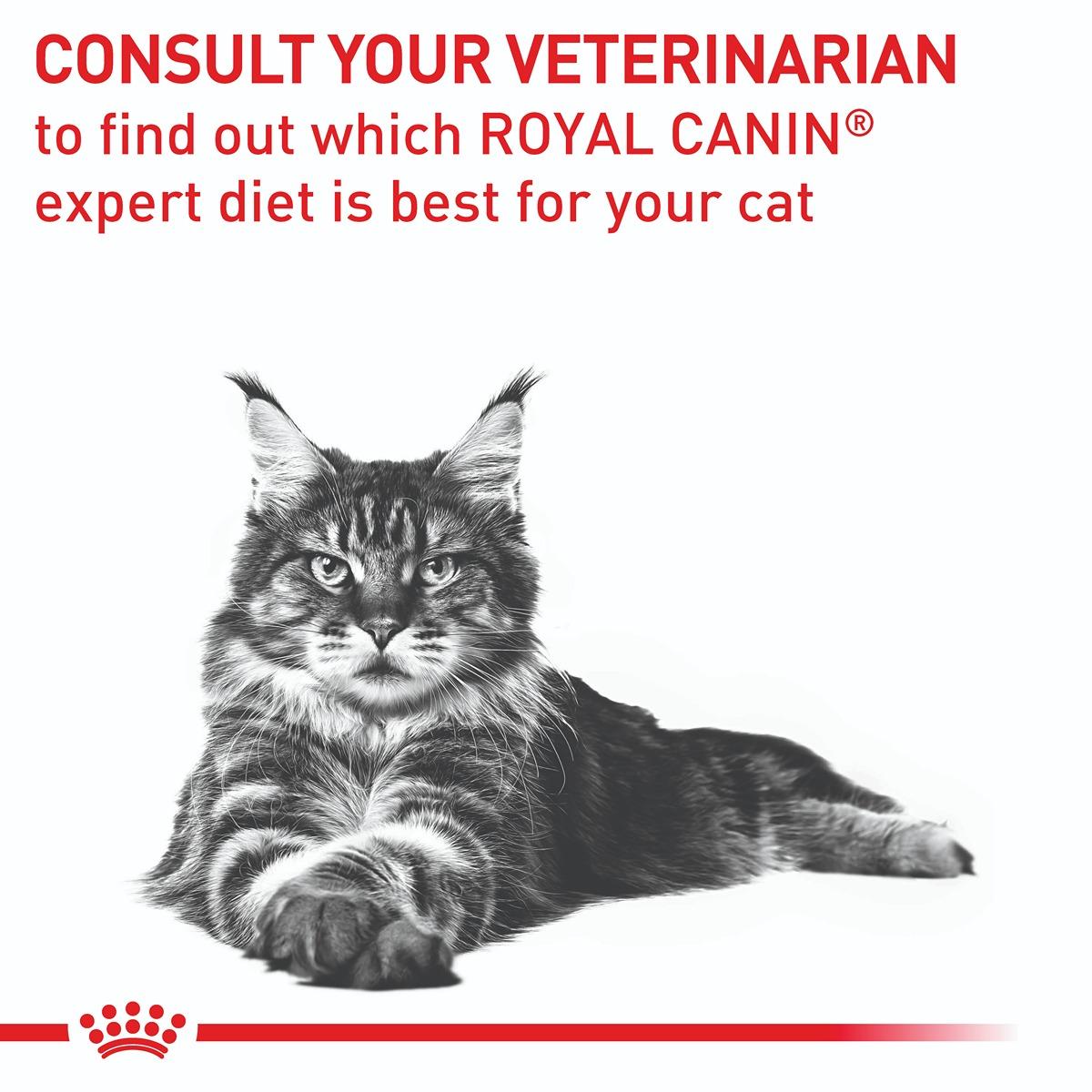 Royal Canin Veterinary Diet Mature Consult Feline Wet Cat Food