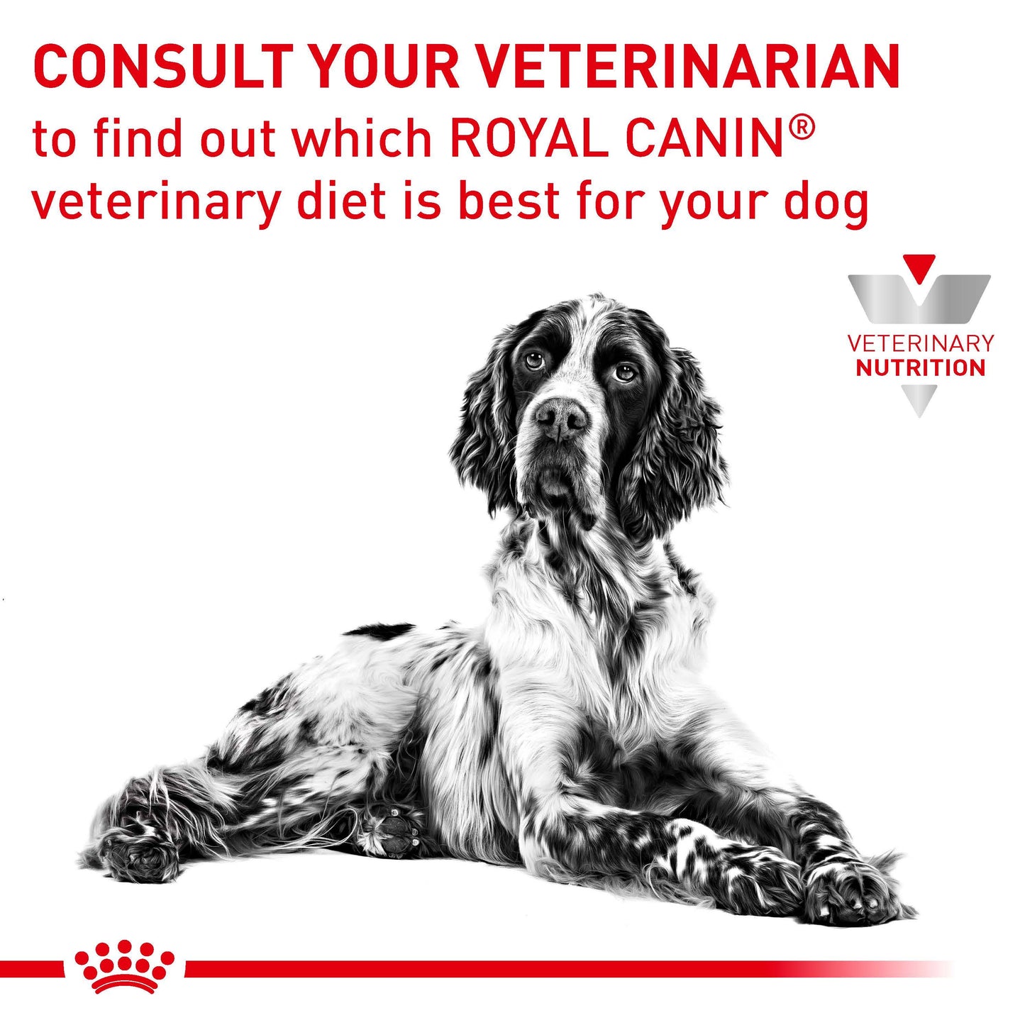 Royal Canin Vet Diet Gastrointestinal Dry Dog Food