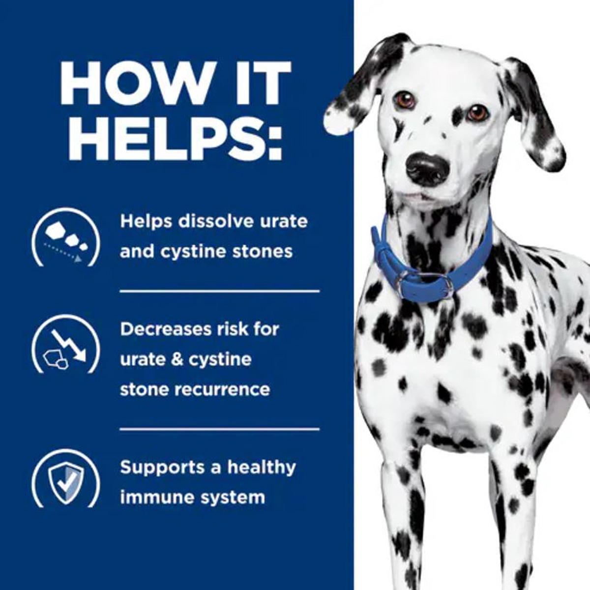 Hill's Prescription Diet u/d Urinary Care Wet Dog Food
