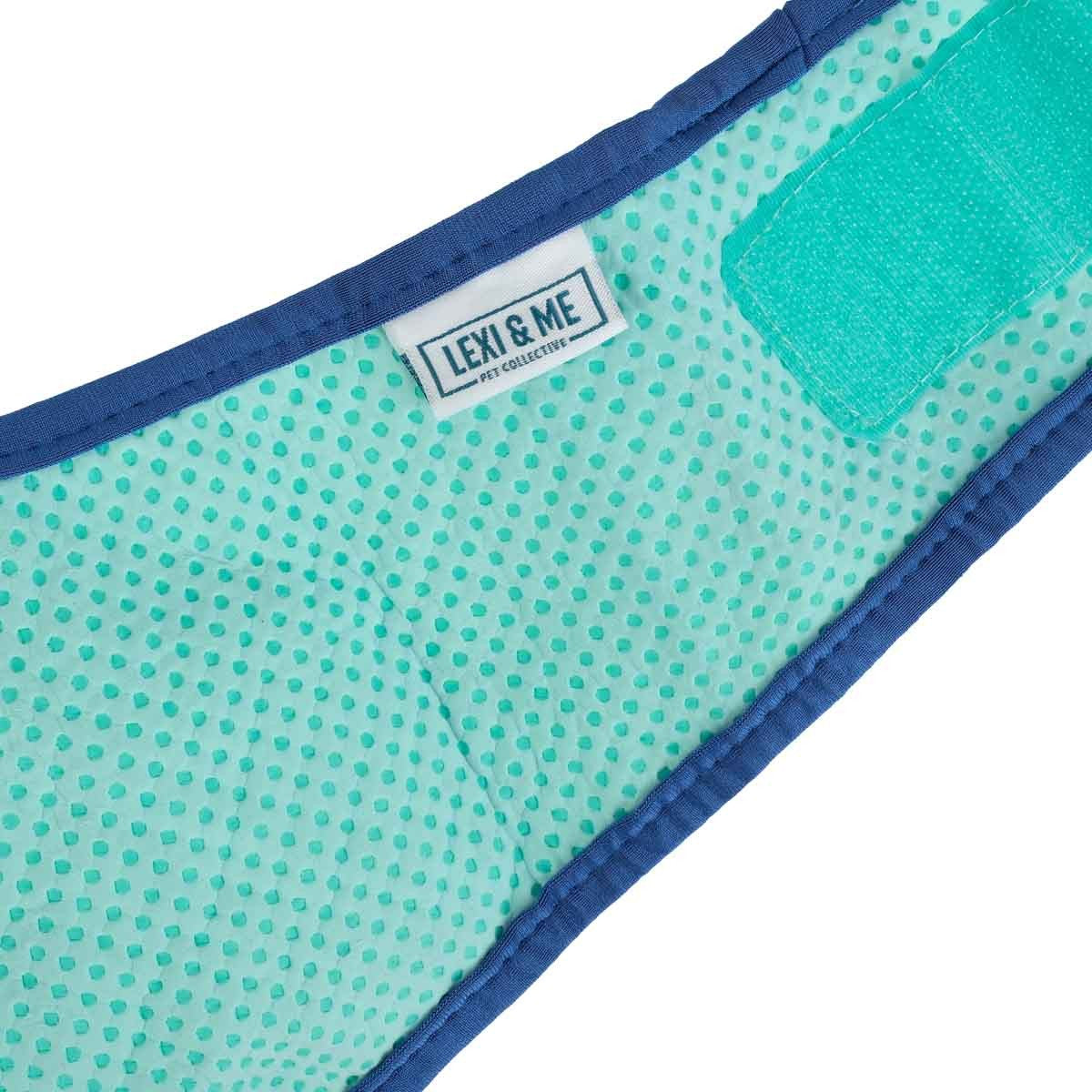 Lexi & Me Blue & Mint Cooling Bandana