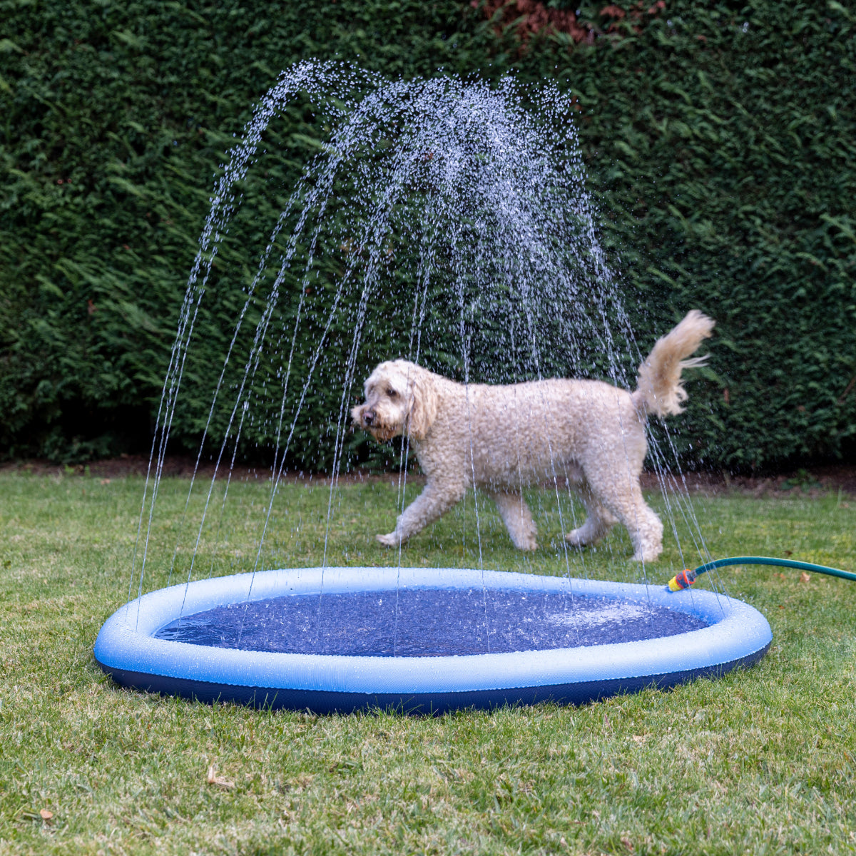 Lexi & Me Pet Sprinkler Pad