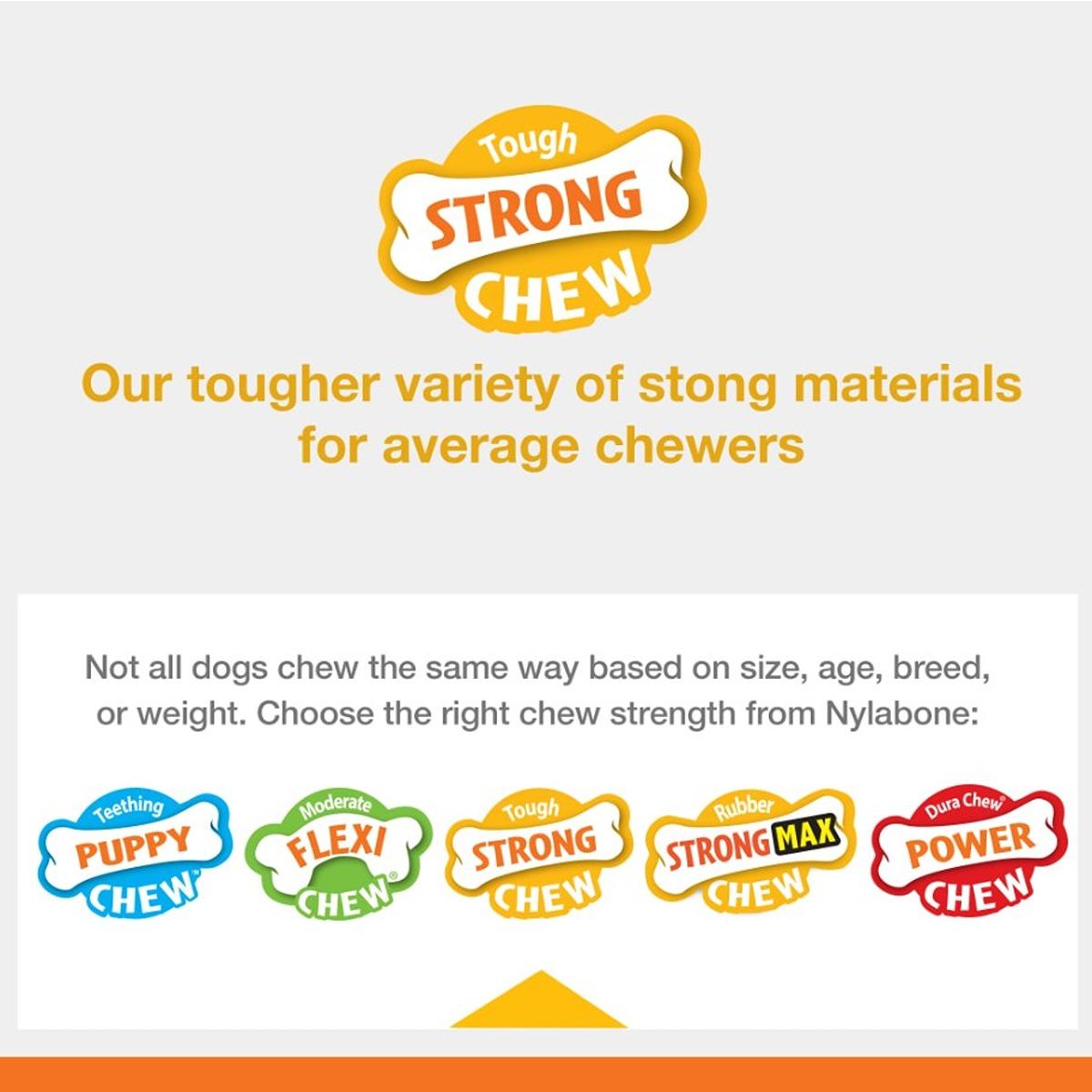 Nylabone Fillable Peanut Treat Strong Chew Dog Toy
