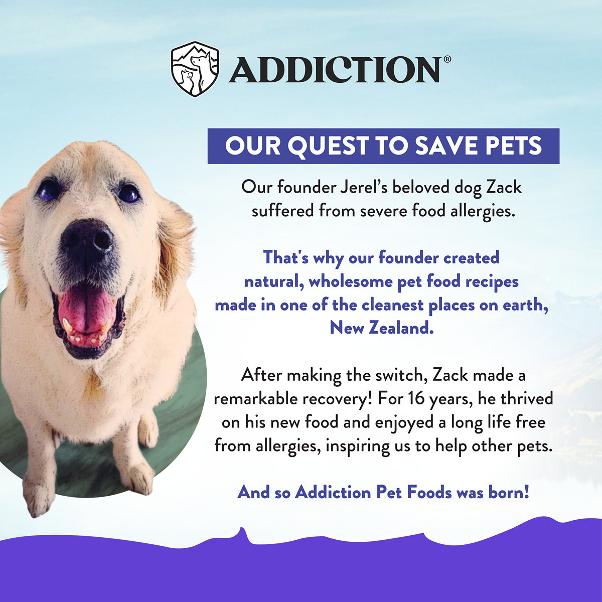 Addiction MEGA Hearty Chicken Stew Gravy Wet Dog Food