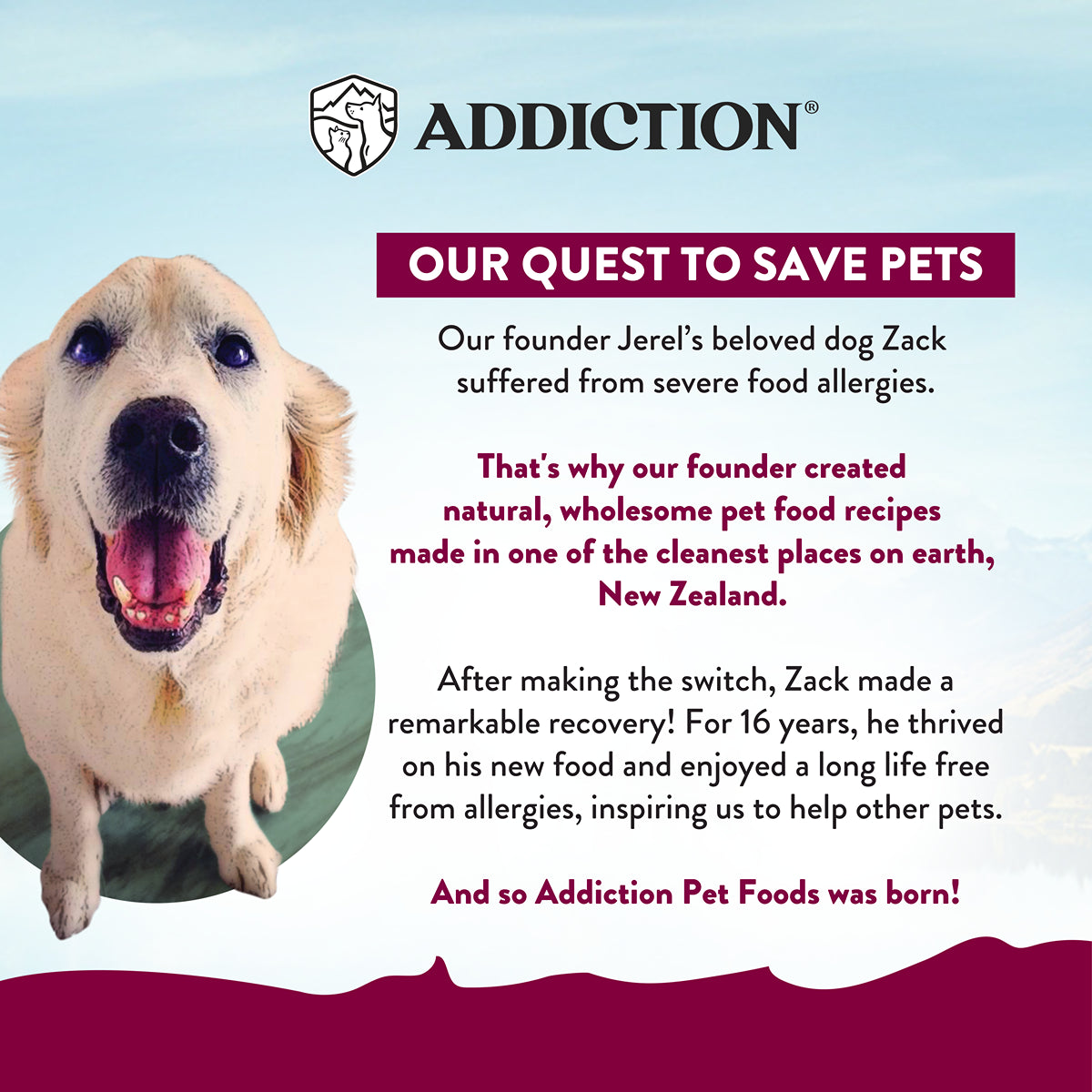 Addiction MEGA Country Chicken Dinner Loaf Wet Dog Food