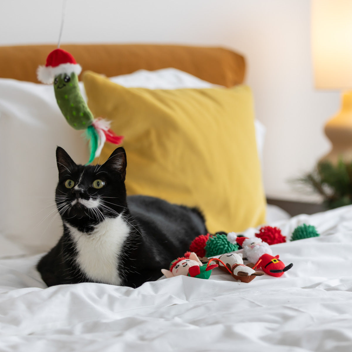 Petstock Christmas Pickle Cat Teaser Wand