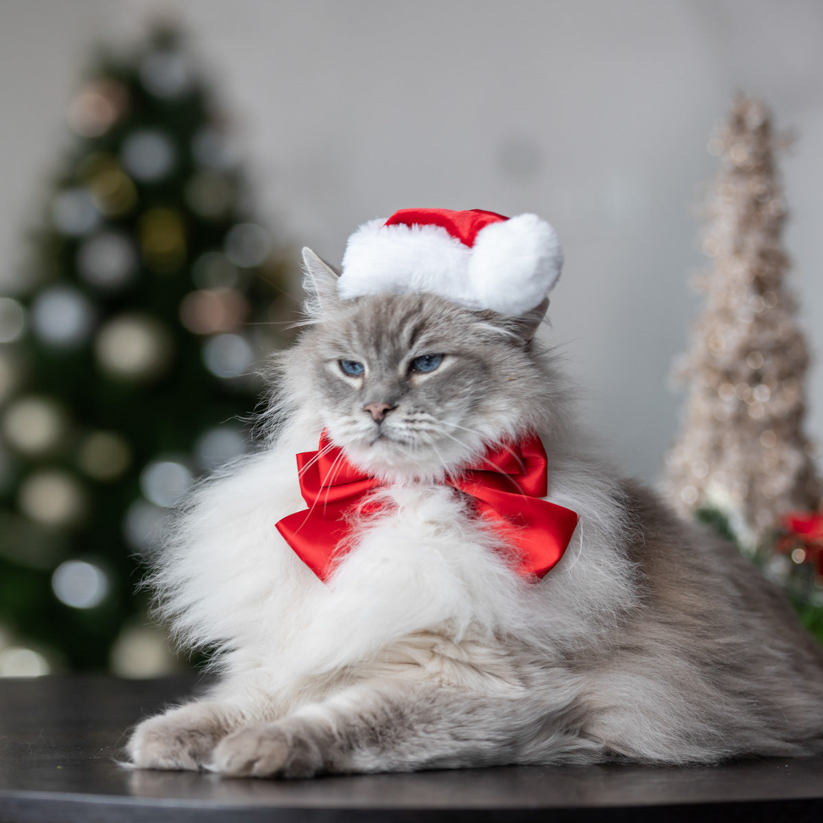 Petstock Christmas Satin Sailor Bow Red