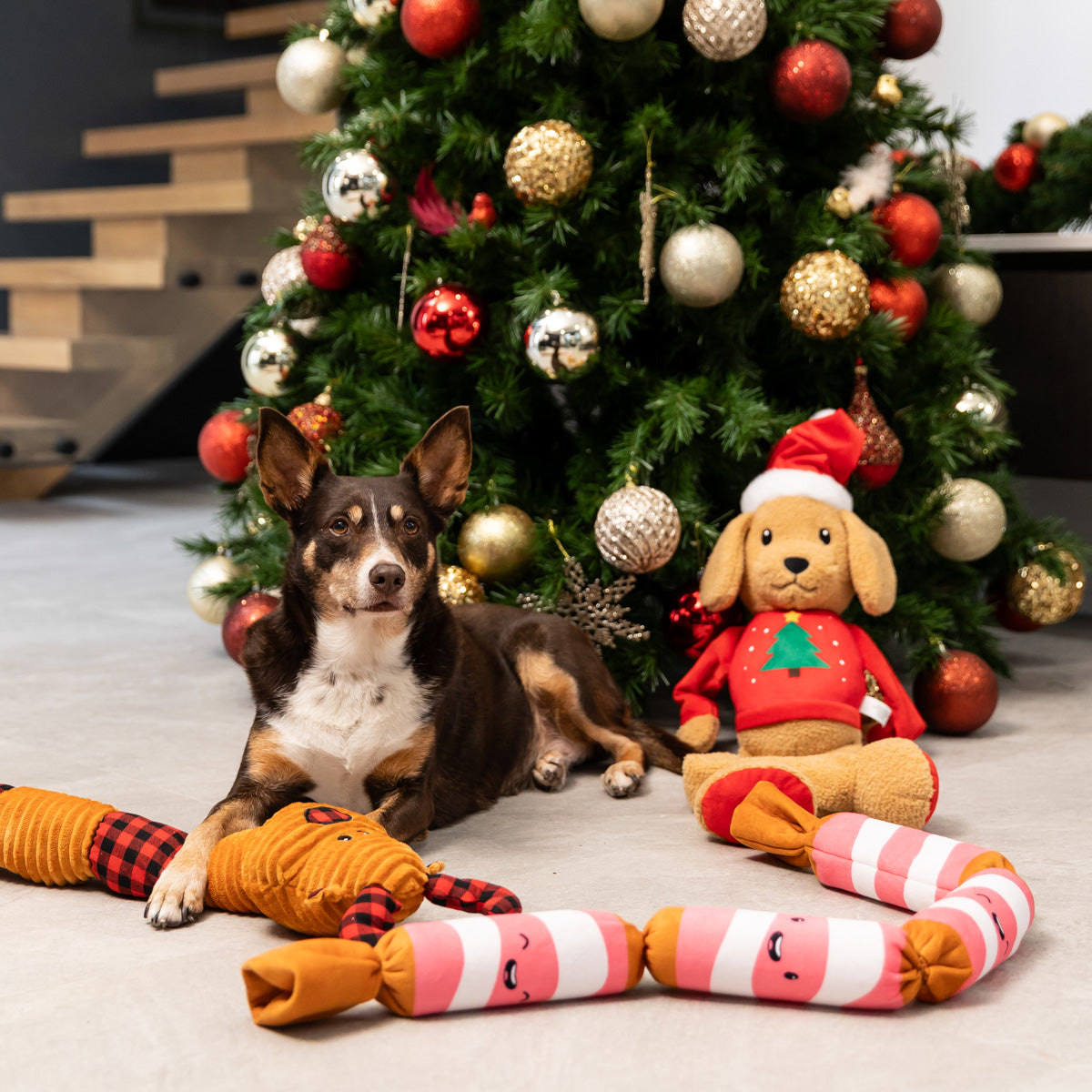 Petstock Christmas Pigs in Blanket Long Dog Toy