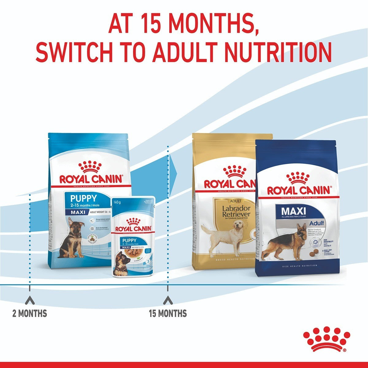 Royal Canin Maxi Dry Puppy Food Trial Bag
