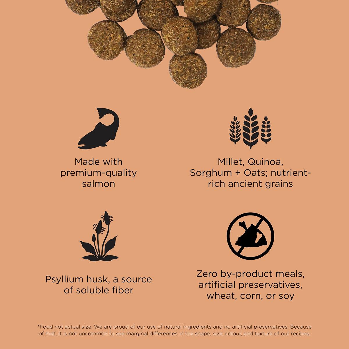 GO! Solutions DIGESTION & GUT Diet Salmon with Ancient Grains Dry Dog Food
