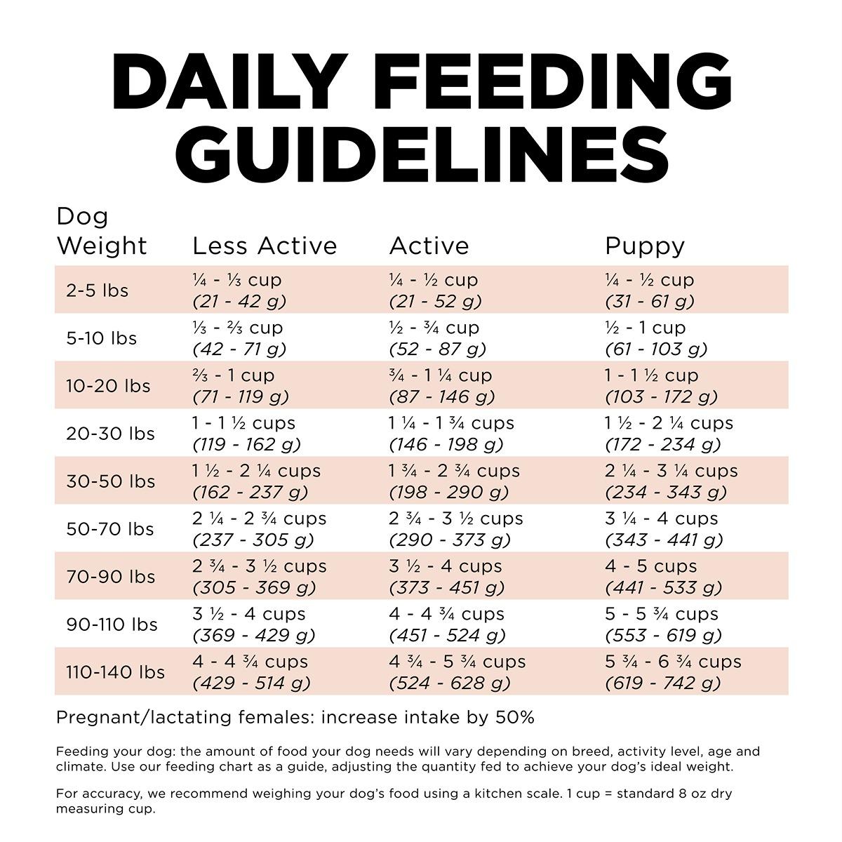 GO! Solutions DIGESTION & GUT Diet Salmon with Ancient Grains Dry Dog Food