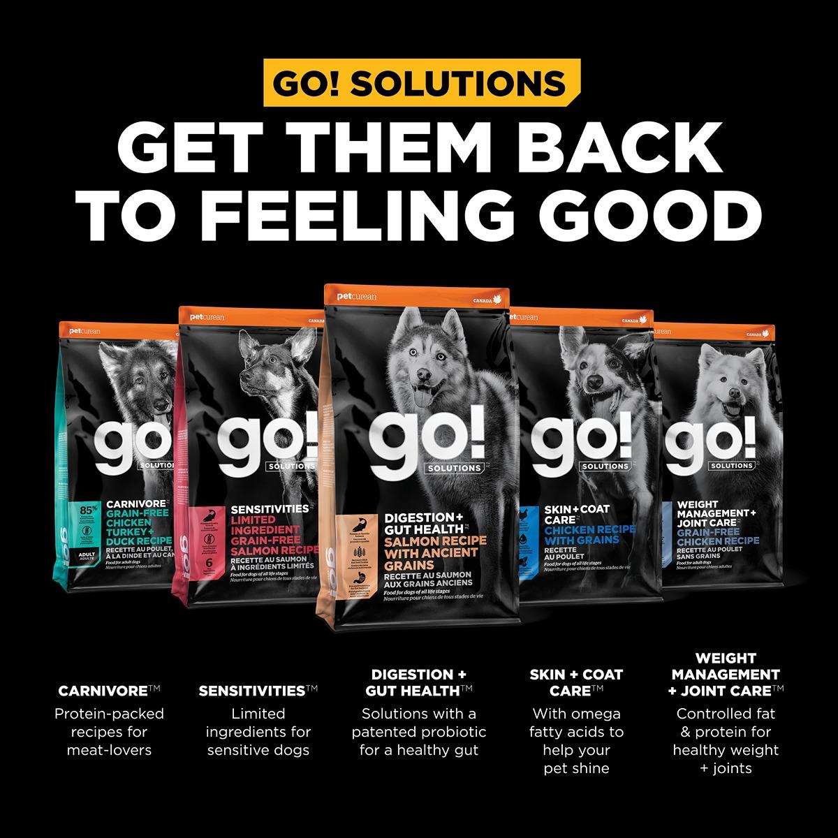 GO! Solutions DIGESTION & GUT Diet Salmon with Ancient Grains Dry Dog Food