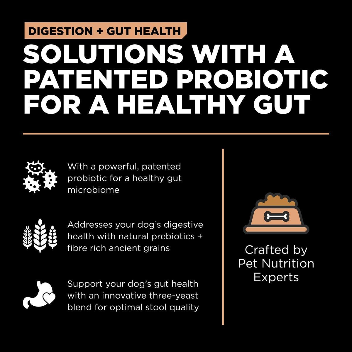 GO! Solutions DIGESTION & GUT Diet Salmon with Ancient Grains Dry Dog Food