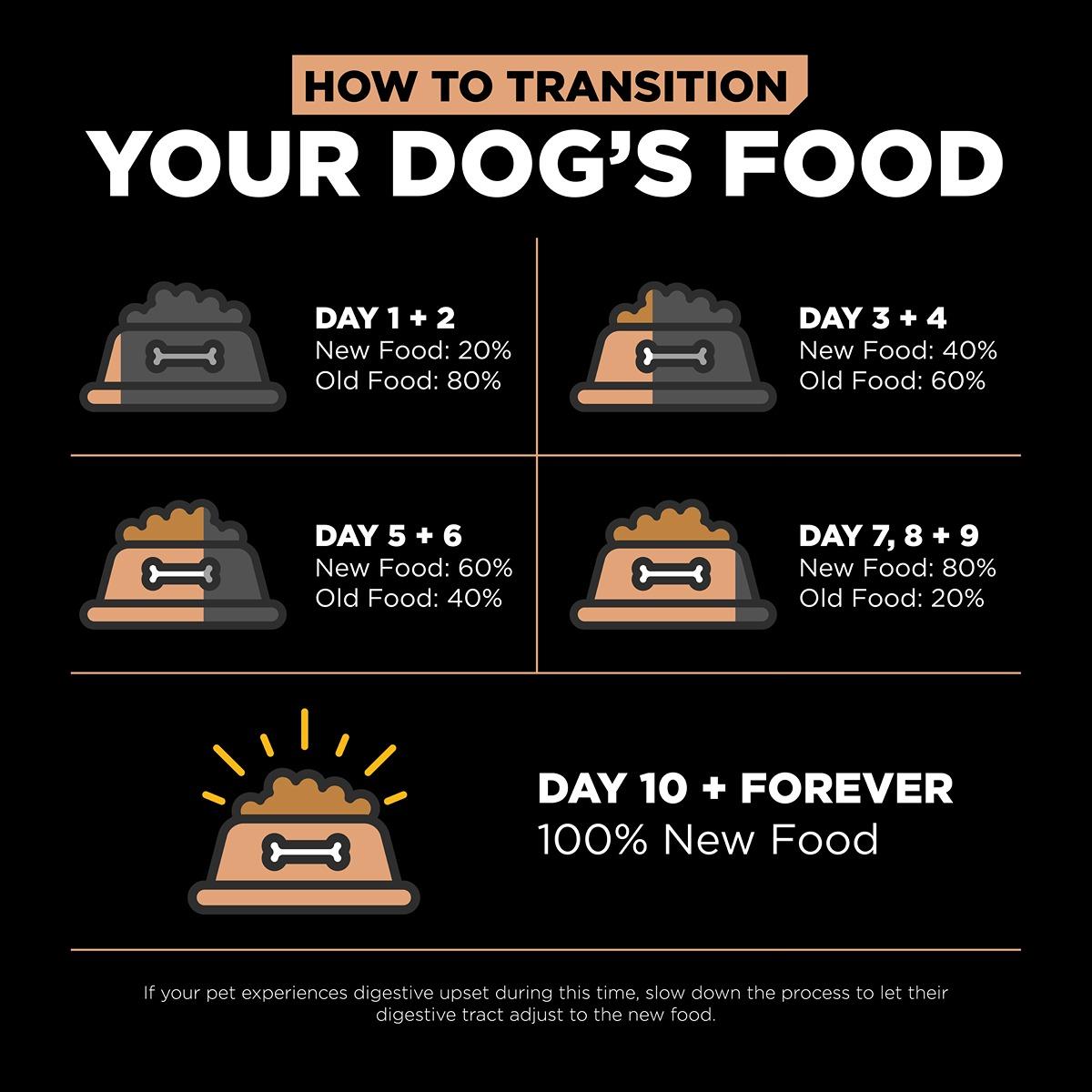 GO! Solutions DIGESTION & GUT Diet Salmon with Ancient Grains Dry Dog Food