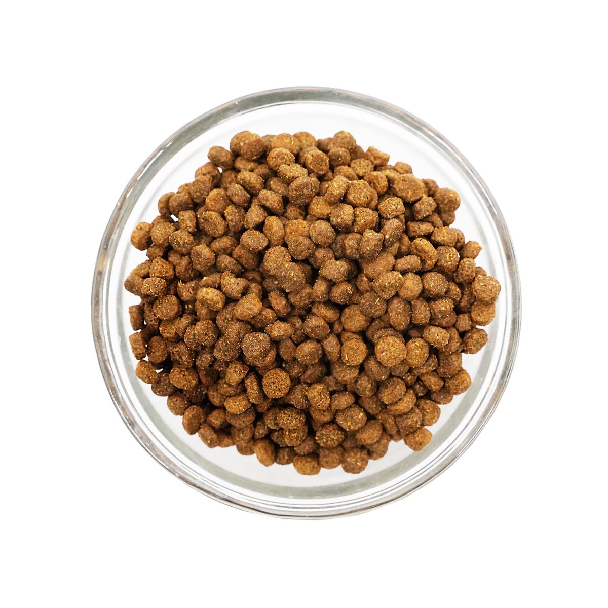 GO! Solutions DIGESTION & GUT Diet Salmon with Ancient Grains Dry Cat Food