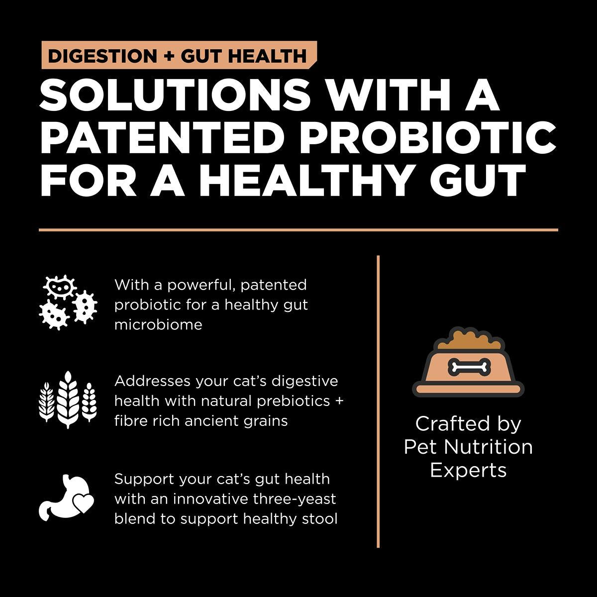 GO! Solutions DIGESTION & GUT Diet Salmon with Ancient Grains Dry Cat Food