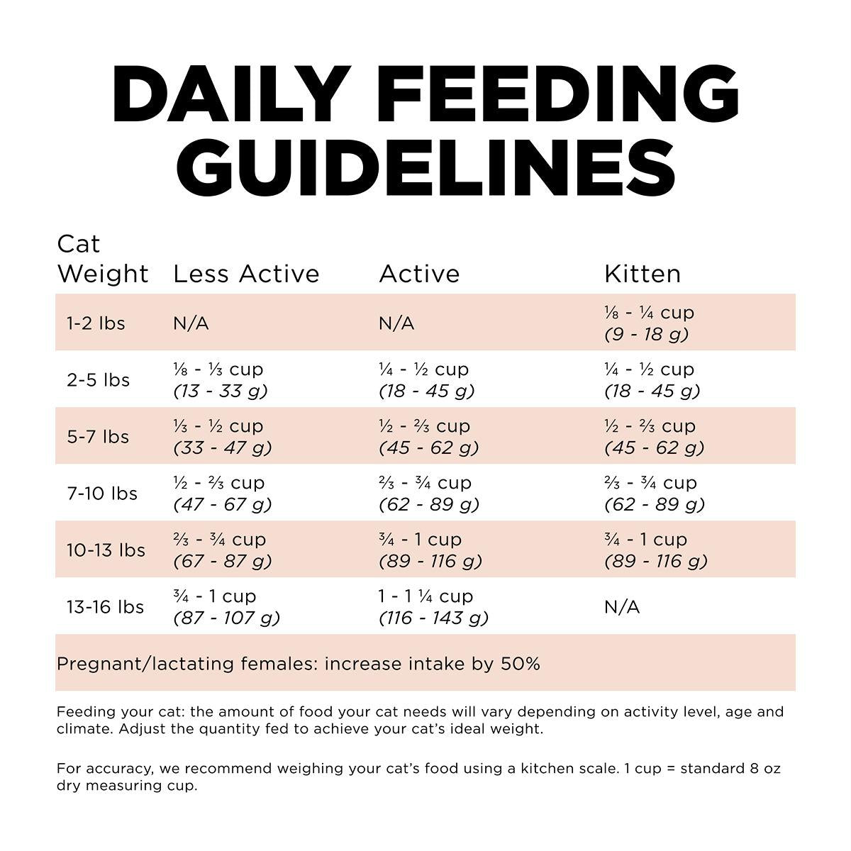GO! Solutions DIGESTION & GUT Diet Salmon with Ancient Grains Dry Cat Food