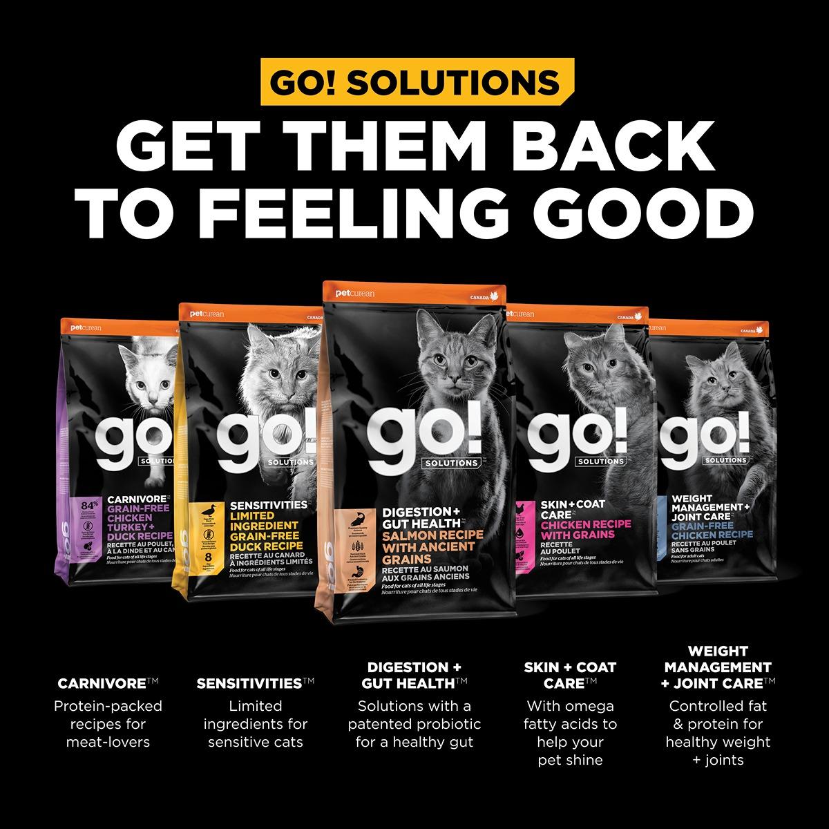 GO! Solutions DIGESTION & GUT Diet Salmon with Ancient Grains Dry Cat Food
