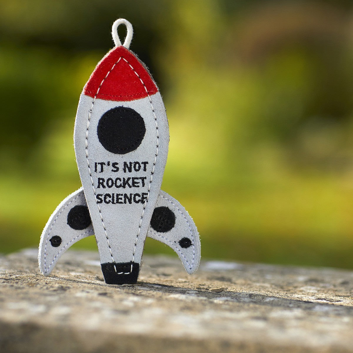 Green & Wild's Eco Dog Toy - It's Not Rocket Science
