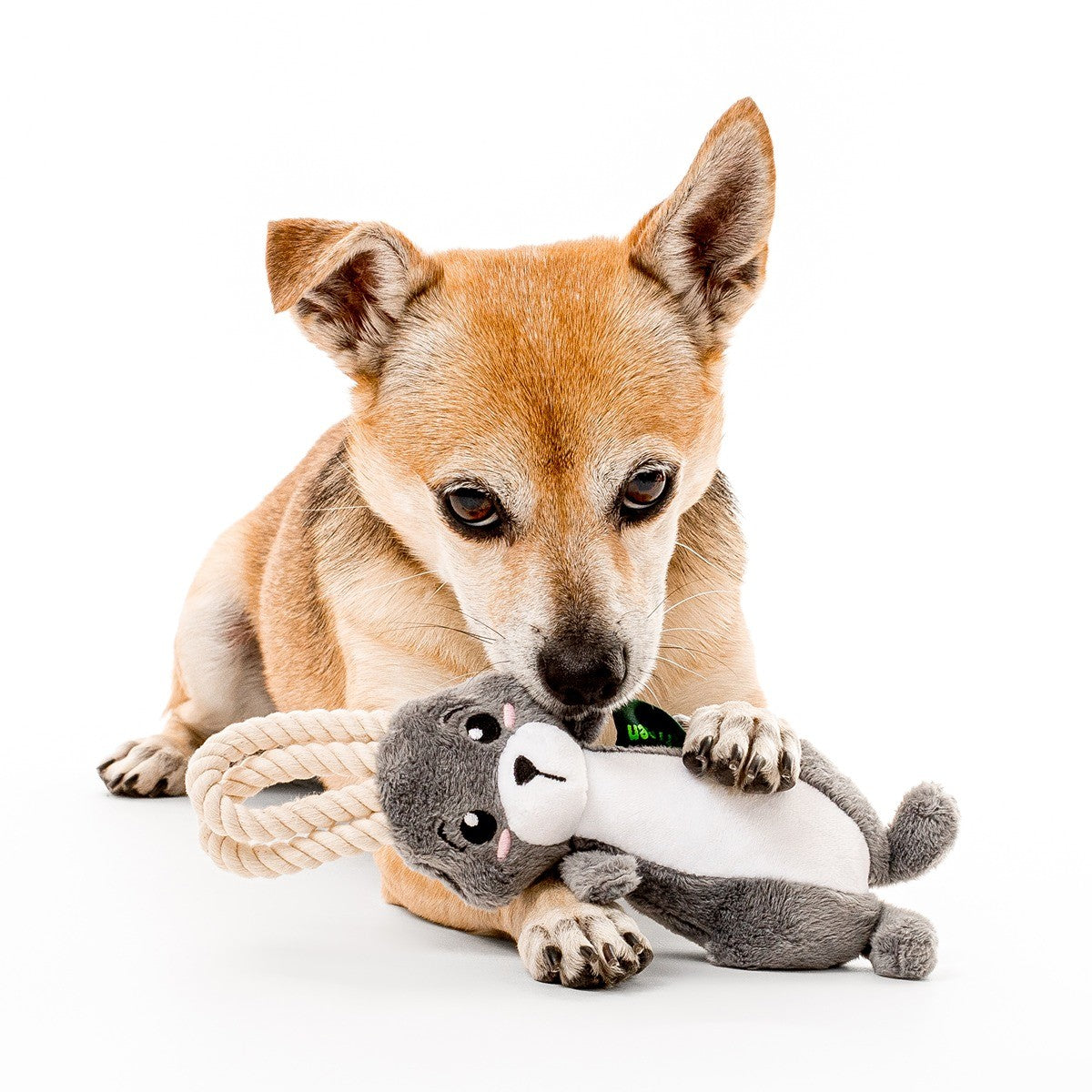 Grrreen Arctic Hare Plush Dog Toy