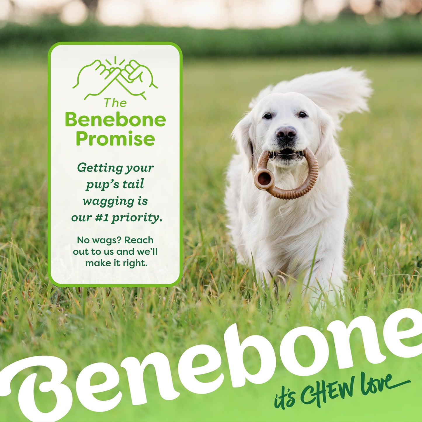 Benebone Bacon Ring Dog Toy