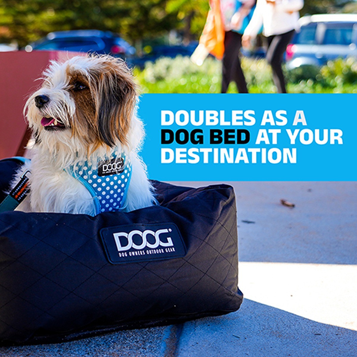 DOOG Car Seat