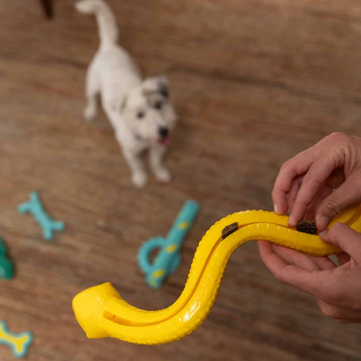 Lexi & Me Snake Rubber Treat Toy