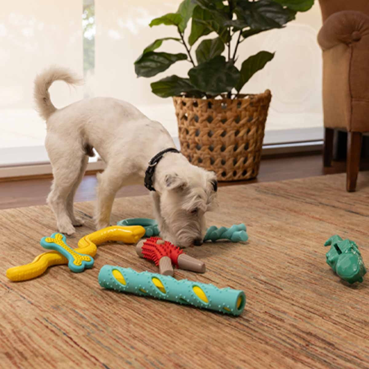 Lexi & Me Wishbone Tough Chew Toy