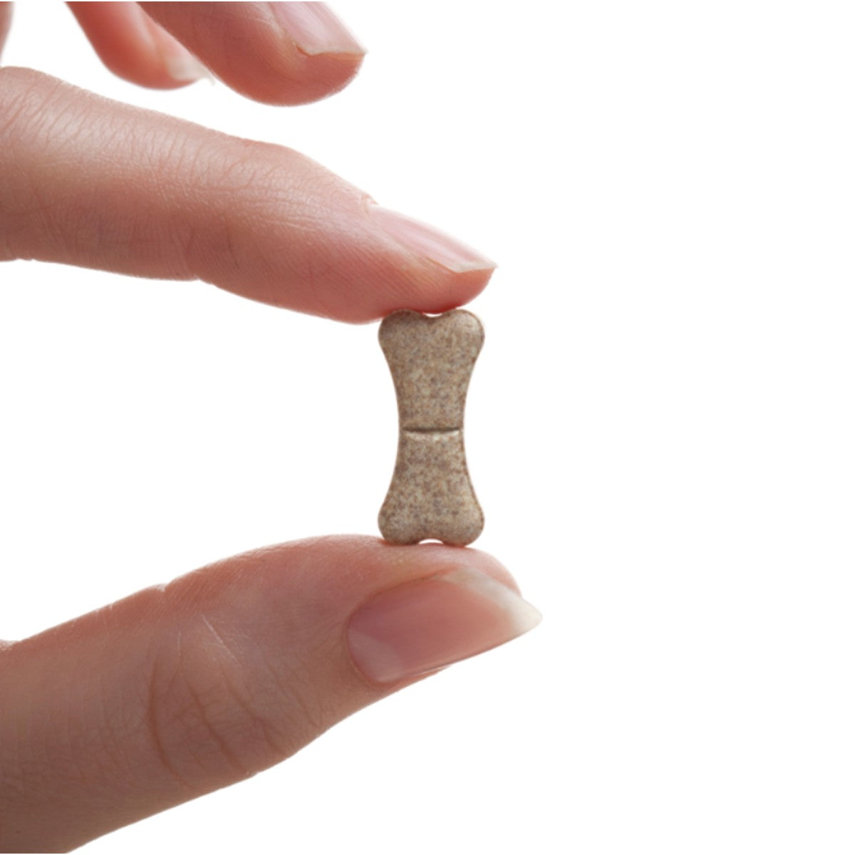 Drontal Tasty Bone All Wormer for Dogs