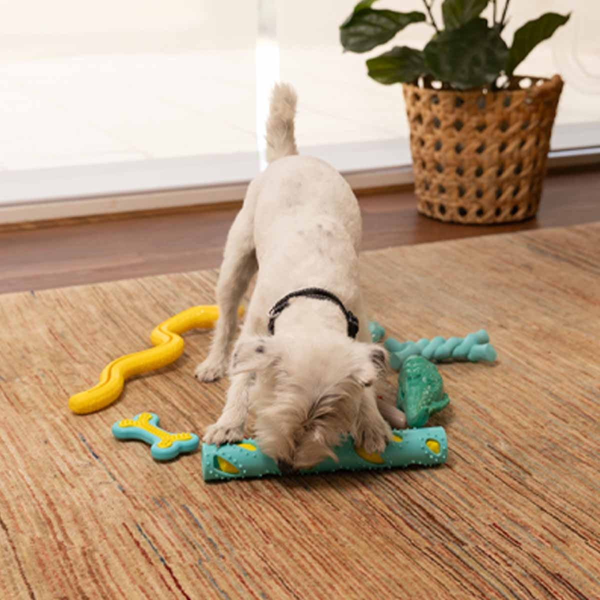 Lexi & Me Dual Stick Rubber Crunch Toy