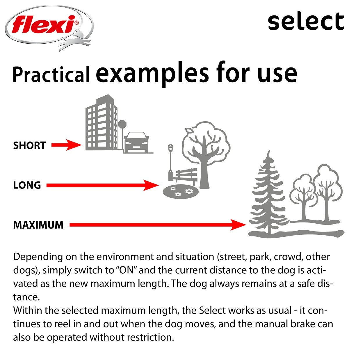 Flexi Select Tape 7M Retractable Lead