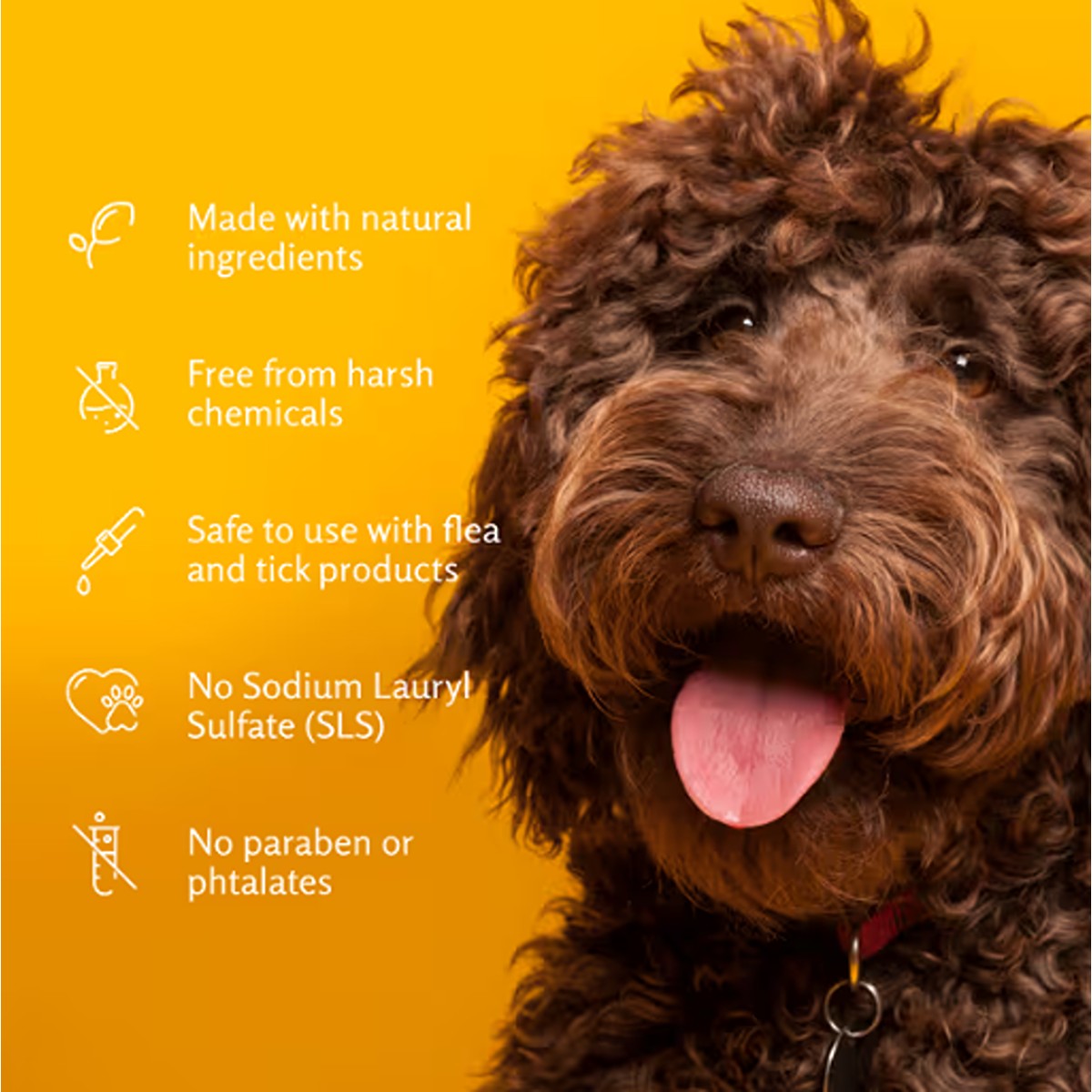 Arm & Hammer Super Deodorizing Dog Shampoo