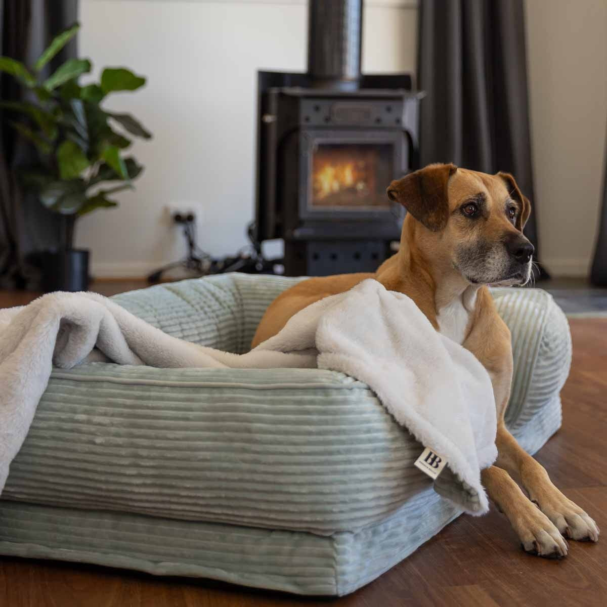 Buddy & Belle Orthopaedic Lounge Bed Cool Sage