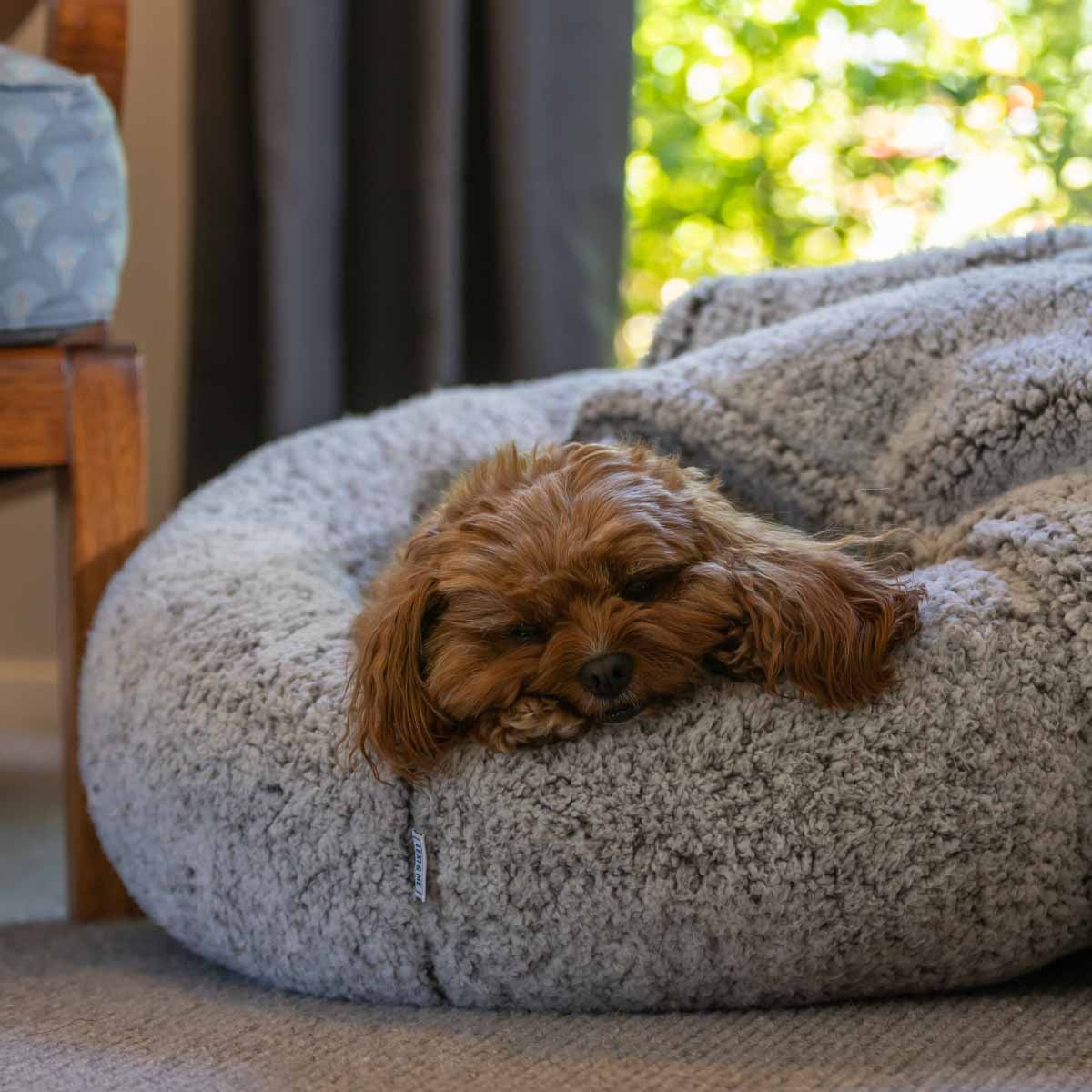 Lexi & Me Sherpa Blanket