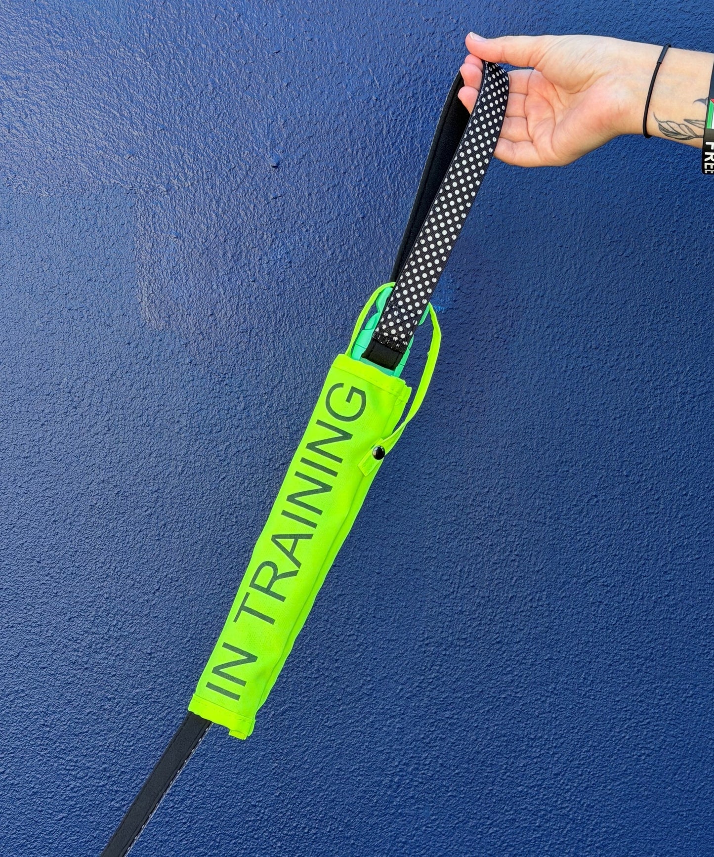 DOOG Leash Sleeve - In Training
