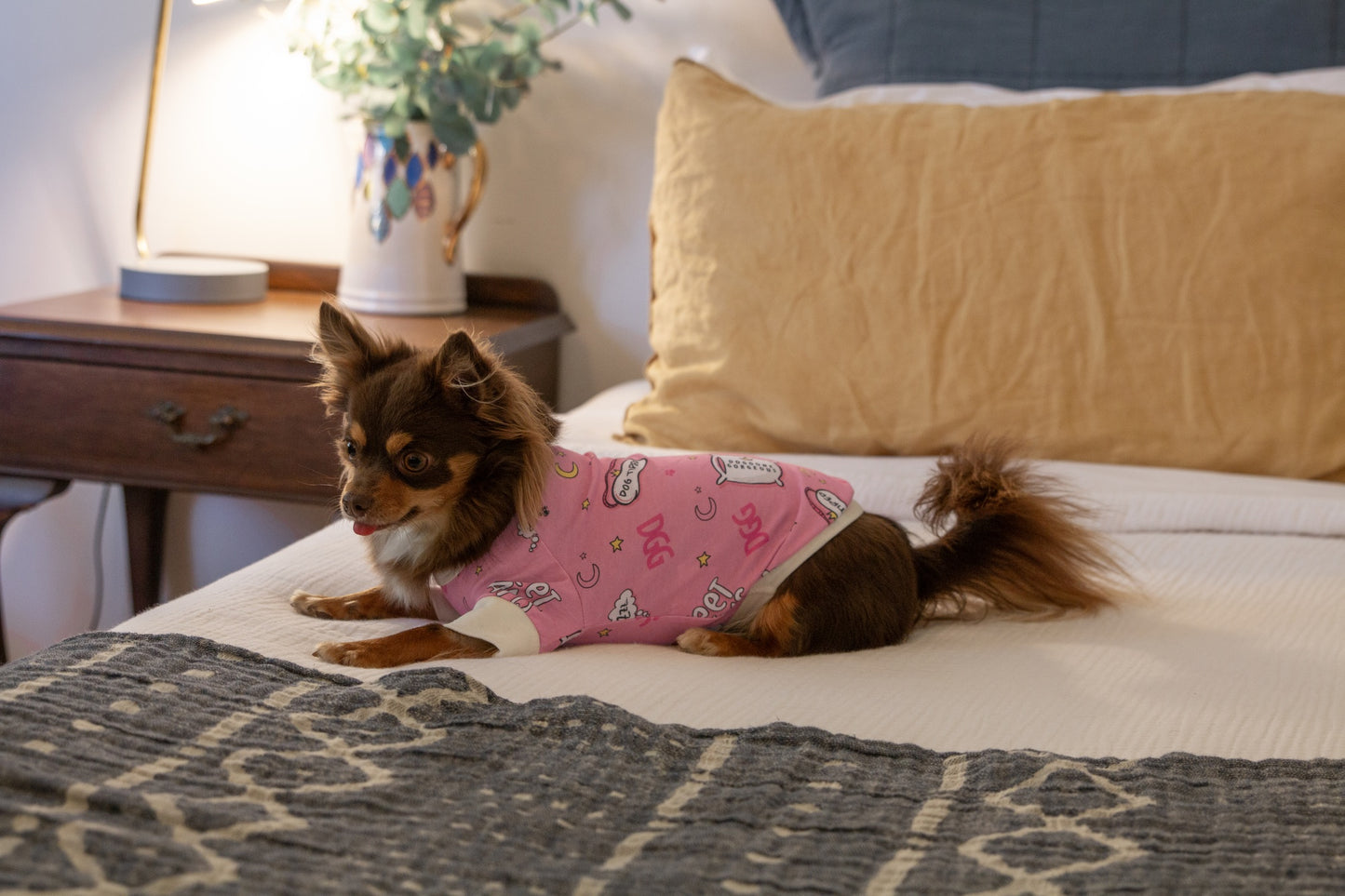 DGG Dog Pyjamas Doggone Gorgeous