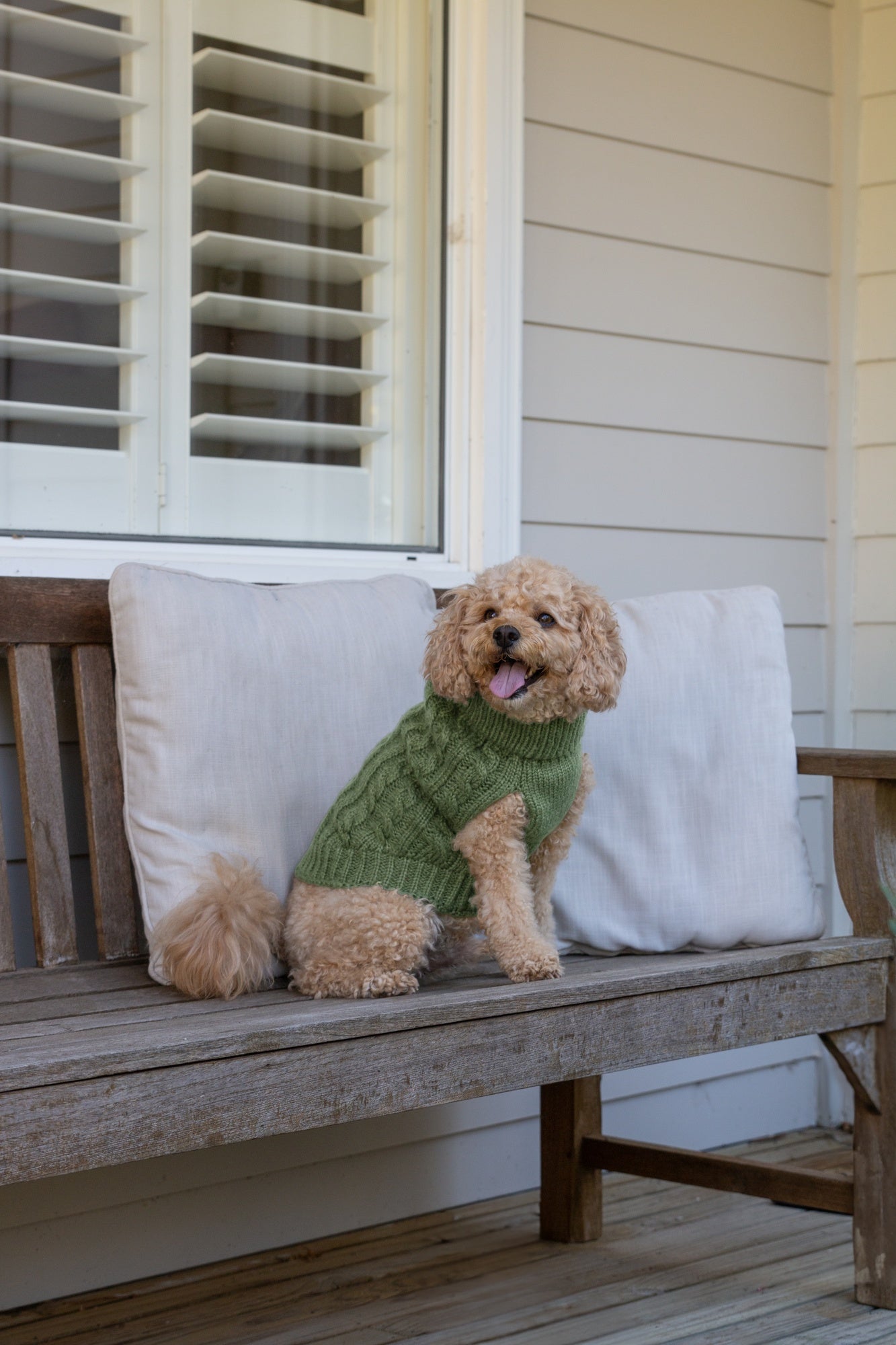 DGG Chunky Knit Dog Jumper Winter Sage